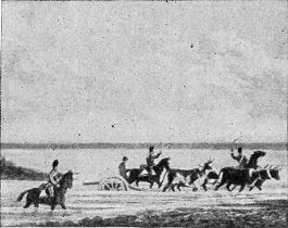 [Hauling Cannon during the War of 1812]